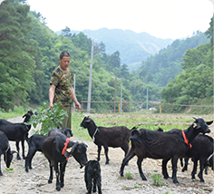 й(304am-VIP֤)-Official Platform