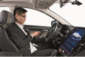 �й�����������(304am-VIP��֤)����-Official Platform