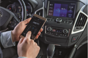 �й�����������(304am-VIP��֤)����-Official Platform